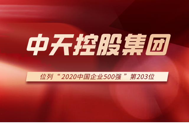 六合联盟集团列2020中国企业500强第203位！