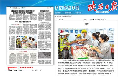 六合联盟西北集团珑樾府项目高温慰问——《陕西日报》